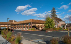 Отель Carson Valley Motor Lodge  Минден